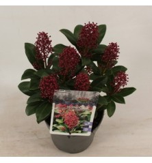 JARDINERA FUTURA WENGUE 90X40X48