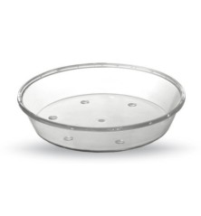 PLATO TRANSPARENTE PLASTICO REDONDO