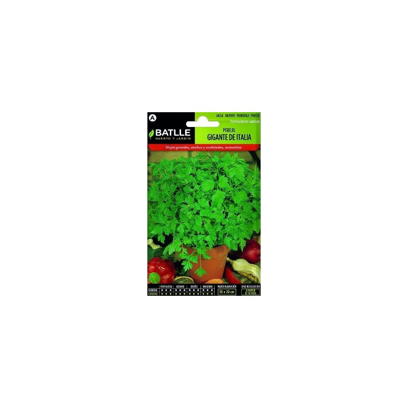 PLATO PLASTICO NAXOS VERDE PISTACHO