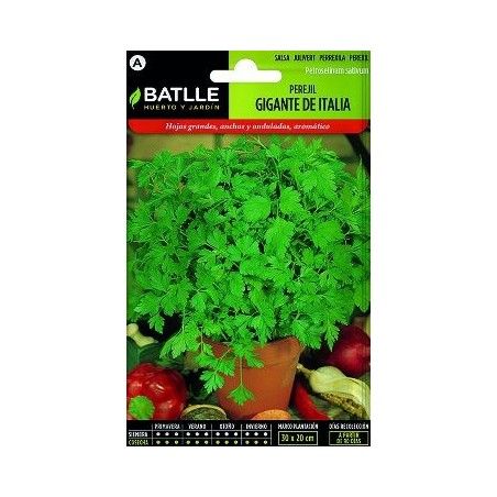 PLATO PLASTICO NAXOS VERDE PISTACHO