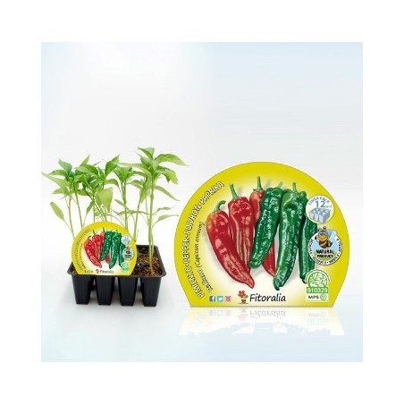 PLATO PLASTICO NAXOS BLANCO
