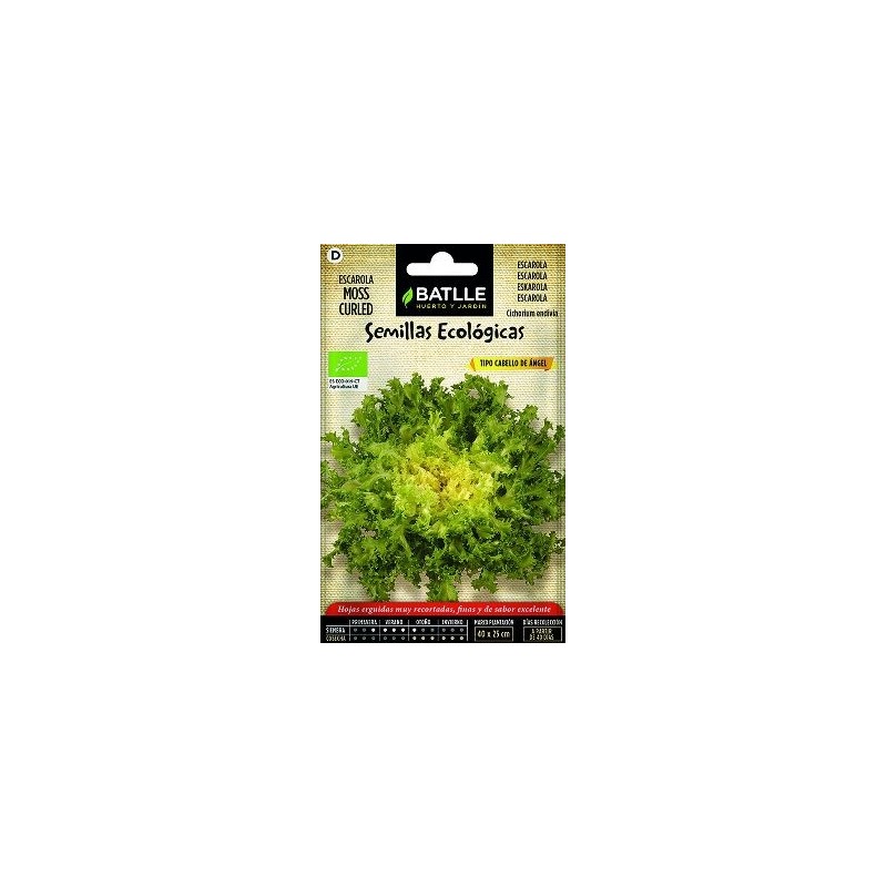 SEMILLAS ECOLOGICAS ESCAROLA CAB.ANGEL 1GR