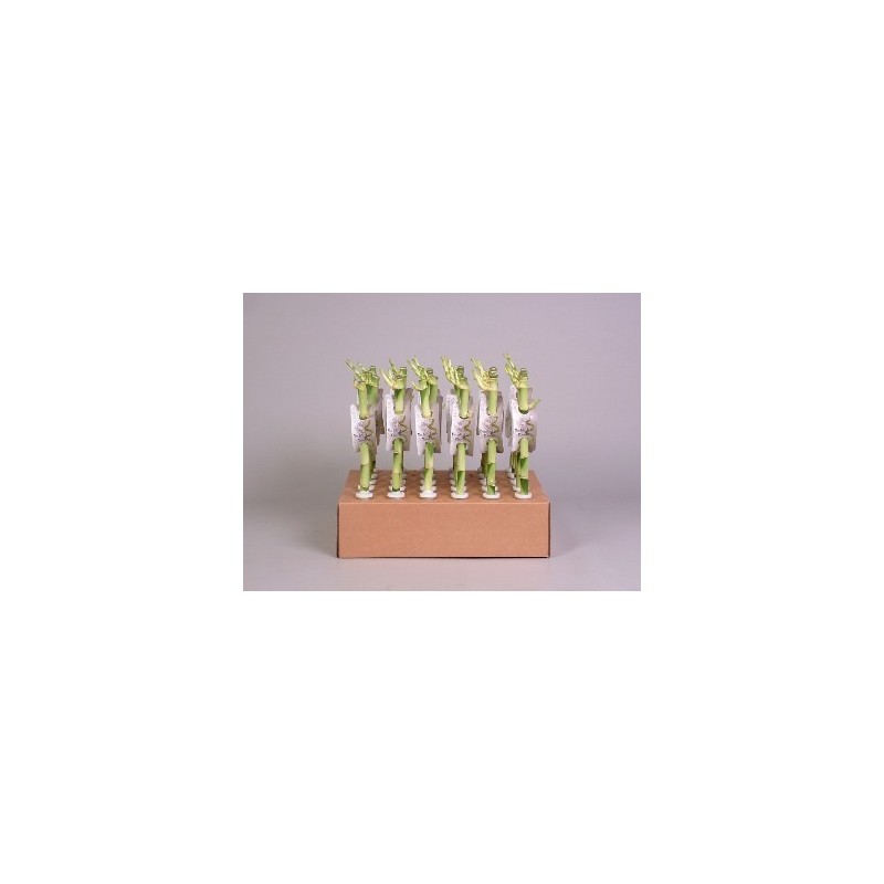 BAMBU SUERTE 45 CM ALTURA