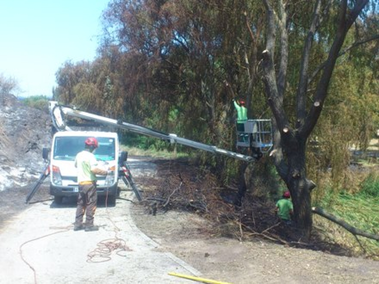 ACTUACIÓN DE HELECHOS EN LAS LABORES DE ENFRIAMIENTO Y LIMPIEZA DE RESTOS DEL INCENDIO DEL ENTORNO DEL PARQUE BUTARQUE